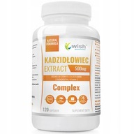 WISH KADIDLO EXTRACT 500MG 120C BOSWELLIA ANTIBAKTERIÁLNE KĹBY