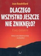 Dlaczego wszystko nie zniknęło Baudrillard