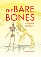 The Bare Bones: An Unconventional Evolutionary
