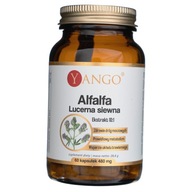 Yango Alfalfa lucerna siewna 480 mg 60 kapsułek Suplement diety