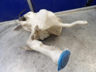 Volvo S40 Behälter Spritzdüse 30855249 30855250