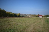 Działka, Dylągowa, Dynów (gm.), 2030 m²