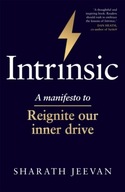 Intrinsic: A manifesto to reignite our inner
