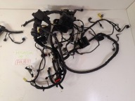 Hyundai i10 III 1,0 MPI bundle electrical of the engine (HI83)