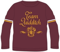 HARRY POTTER LONGSLEEVE TRIČKO HARRY POTTER R146