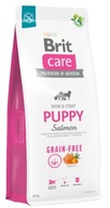 BRIT CARE Dog Grain-free Puppy Salmon 12kg