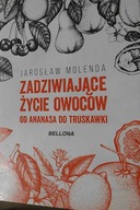 Zadziwiające życie owoców Od ananasa - Molenda