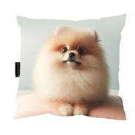 VANKÚŠ SO psom POMERANIAN 40x40 ideálny DARČEK na spanie dekoračný