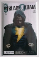 DC | 2022 - 2023 | Black Adam #1 - #12 | Komplet