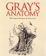 Grays Anatomy Gray Henry