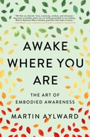 Awake Where You Are: The Art of Embodied