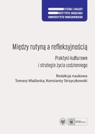 Między rutyną a refleksyjnością Konstanty Strzyczkowski, Tomasz Maślanka