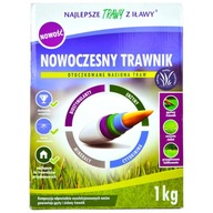 TRAWA TRAWNIK NASIONA TRAWY NOWOCZESNY TRAWNIK 1KG TRAWY Z IŁAWY