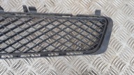 MERCEDES W212 grid of a bumper front