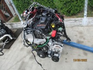 engine RENAULT MASTER OPEL 2,3 M9T716 unprotected pillar