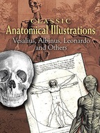 Classic Anatomical Illustrations Vesalius Andreas