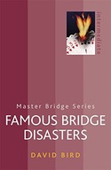 Famous Bridge Disasters Bird David