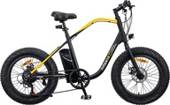 Elektrický bicykel Fatbike 20 ALU 5 režimov Kotúče 7 prevodový stupeň 250W Servoriadenie