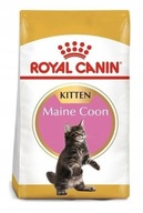 ROYAL CANIN Maine Coon Kitten 10 kg Dla Kociąt