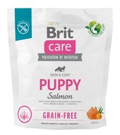BRIT CARE Dog Grain-Free Puppy Salmon 1kg