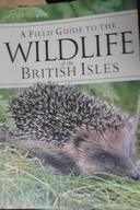 Wildlife of the British Isles - Alice Tomsett