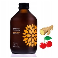 Kombucha Acerola + Zázvor BIO 330ml Vigo čaj