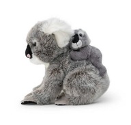 Koala s dieťaťom
