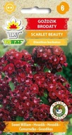Karafiát bradatý Scarlet Beauty 0,5g / T /