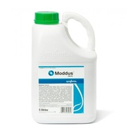 Moddus 250 EC 5L Syngenta, regulator wzrostu