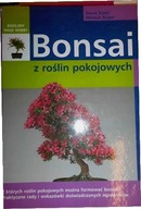 Bonsai z roślin pokojowych - Helmut Ruger