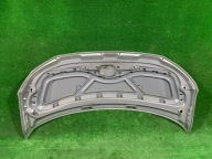 Capot VW T6 NR.219