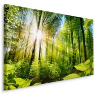Obraz Nástenný les Stromy Zeleň Príroda 3D 120x80