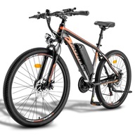 Elektrický bicykel Fafrees 26 36V 13AH 100KM Rám 17 palcový 26 palcový čierny 250W