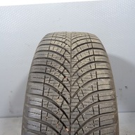 Goodyear Vector 4Seasons G3