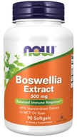 NOW Foods Boswellia Extract 500mg WYCIĄG Z KADZIDŁOWCA STAWY 90k