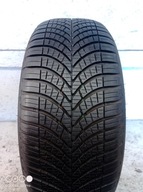 Goodyear Vector 4Seasons G3 195/55R16 91 V priľnavosť na snehu (3PMSF), zosilnenie (XL)