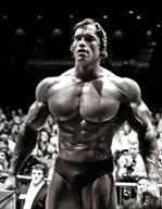 Plagát Arnold Schwarzenegger Kulturista 100x70 '4