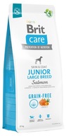 BRIT CARE Dog Grain-Free Junior Large Salmon 12kg