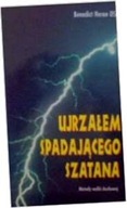 Ujrzałem spadającego szatana - B Heron