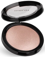 INGLOT SOFT SPARKLER ROZŚWIETLACZ NR 54