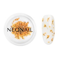 NEONAIL Ozdoba na paznokcie - suszone kwiaty 03 Orange