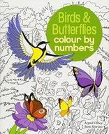Birds & Butterflies Colour by Numbers