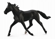 Kôň plemena americký knedlík čierna masť XL