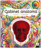 Gabinet anatomii Barbara Taylor