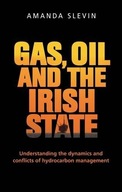 Gas, Oil and the Irish State: Understanding the