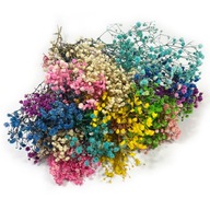 Sadra stabilizovaná sušený mix farieb kytica kvetov do vázy