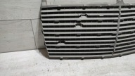 Grill Grill Mercedes w124
