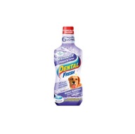 Dental Fresh Kamień i Osad 237ml Płyn dentystyczny