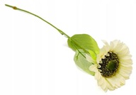 SŁONECZNIK sztuczna gałązka kwiaty dekoracyjne rośliny KREMOWY jesień 53 cm