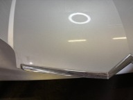 Cofano Citroen C5 II 2